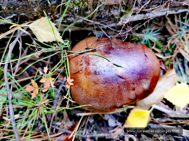 photo 2038912