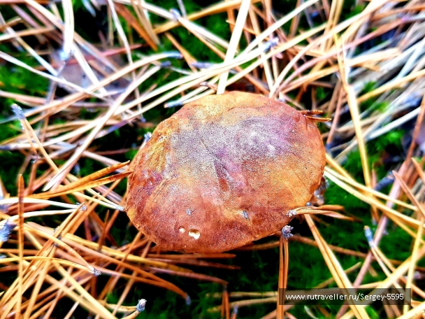 photo 2039243