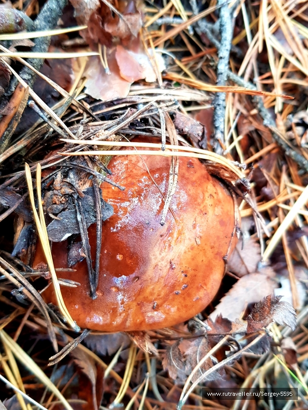 photo 2043507