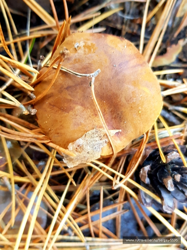 photo 2044629