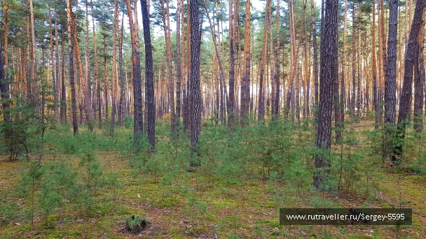 photo 2044912