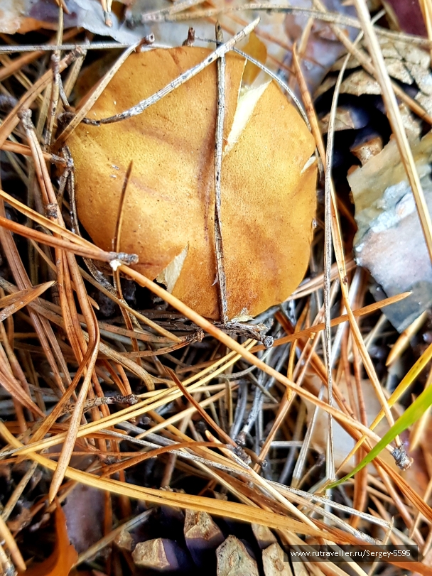 photo 2044973