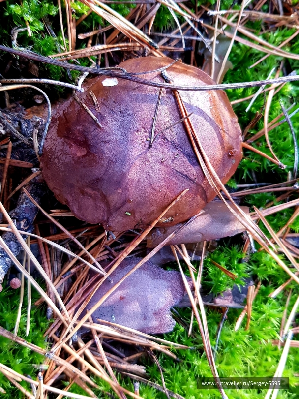 photo 2046196
