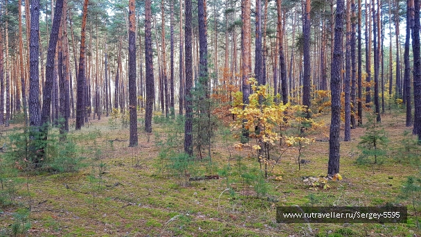 photo 2062373
