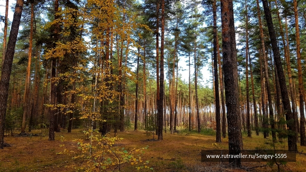 photo 2062605