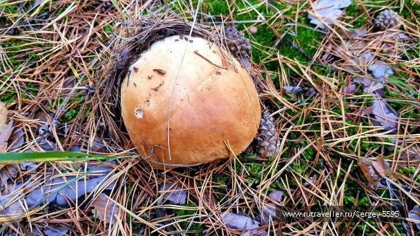 photo 2062705