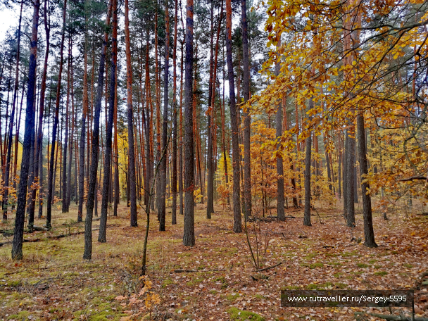 photo 2063532