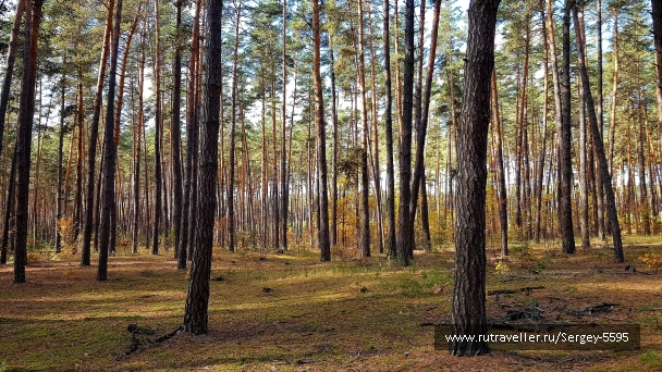 photo 2064087