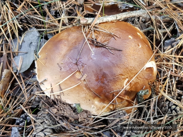 photo 2064221