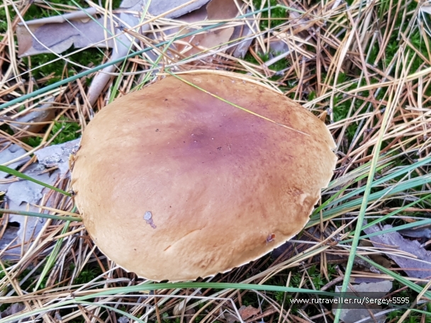 photo 2064459