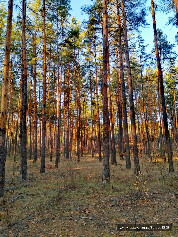 photo 2078517