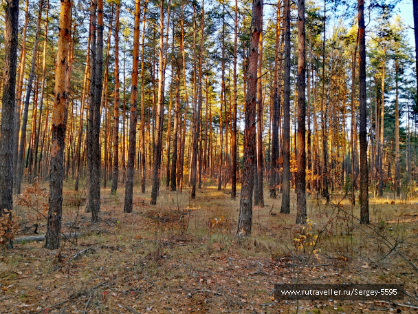 photo 2078805