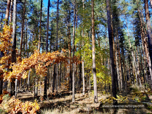photo 2078936