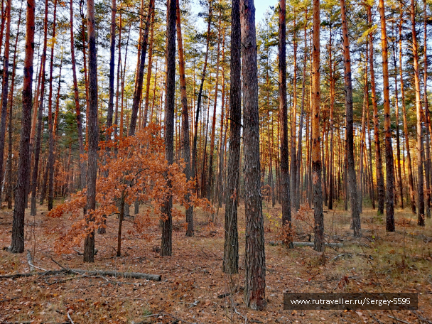 photo 2079676