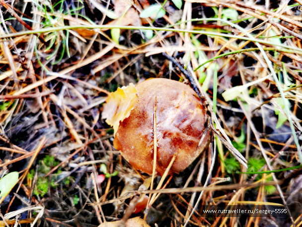 photo 2079965