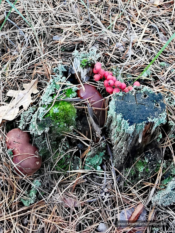 photo 2081571