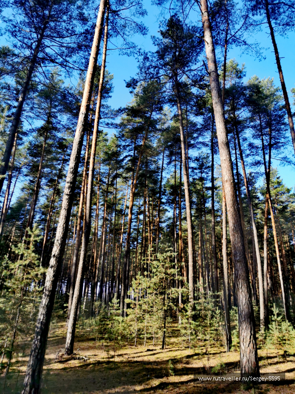photo 2087105