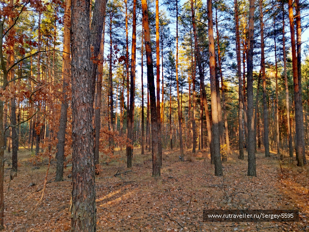 photo 2087768