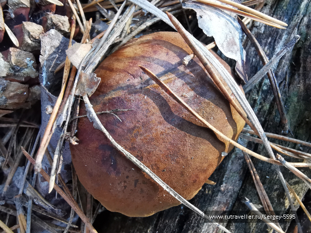 photo 2087886