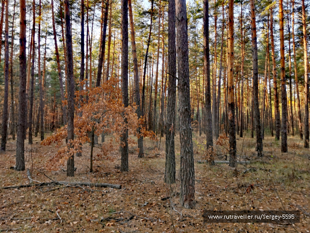 photo 2088972