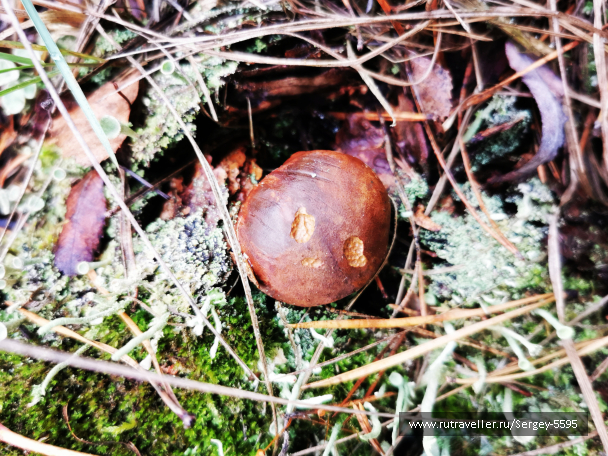 photo 2089394