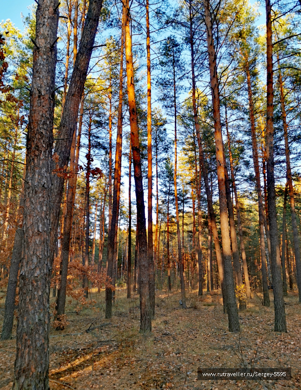photo 2092075
