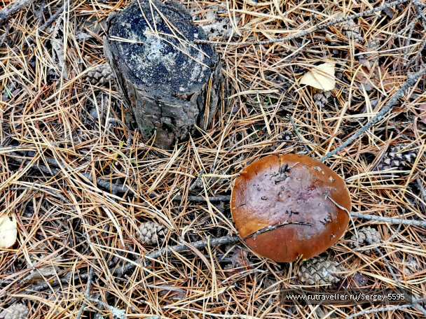 photo 2093553