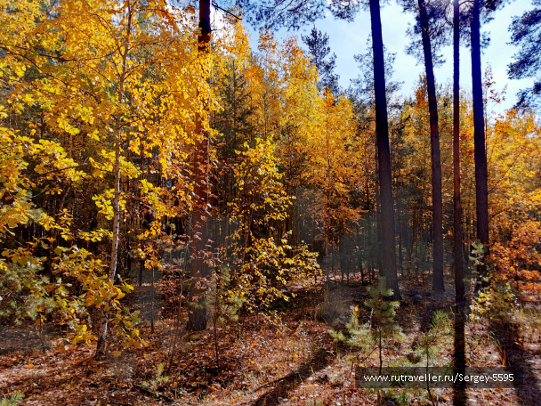 photo 2125331
