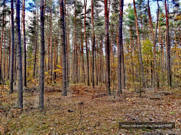 photo 2126819
