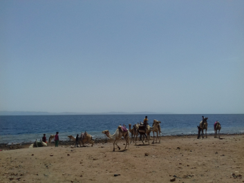photo 1624663
