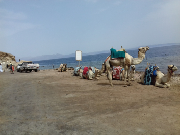 photo 1625881