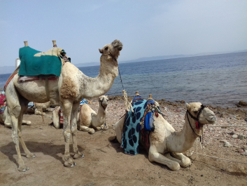 photo 1626814