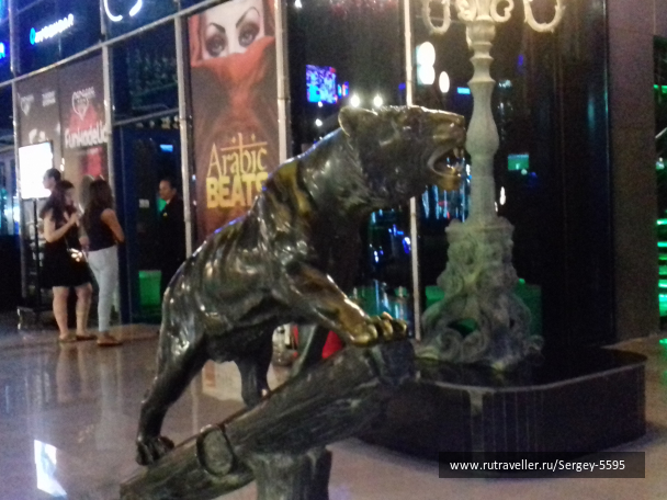 photo 1635620