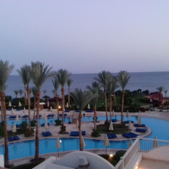 Siva Sharm 