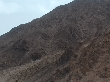 photo 1621428