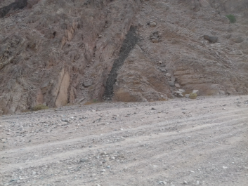 photo 1622341