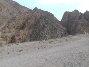 photo 1623769