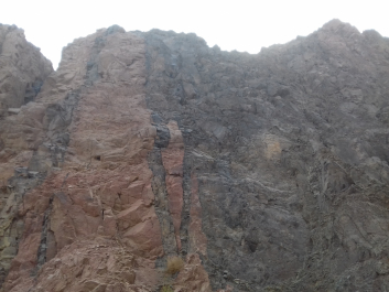 photo 1624360