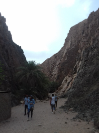 photo 1624659