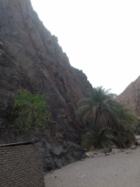 photo 1624863