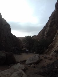 photo 1625158