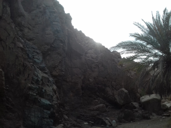 photo 1625915