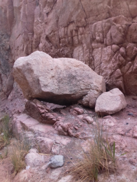 photo 1634250