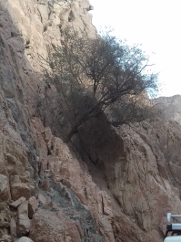 photo 1637748