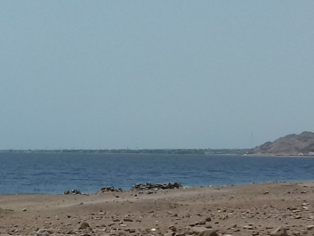 photo 1621348