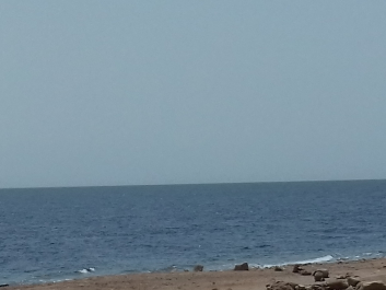 photo 1621349