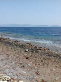 photo 1621426