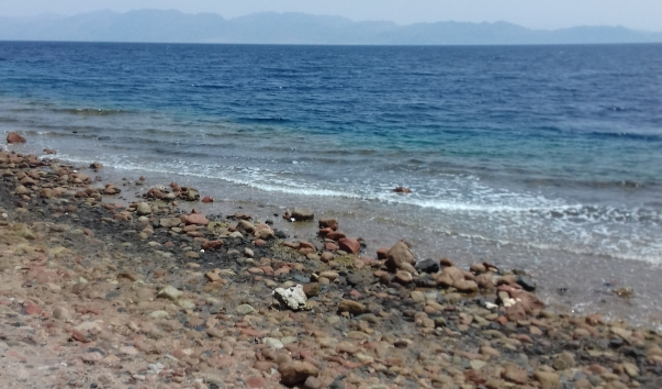 20180413_111405
