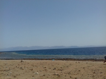 photo 1622573