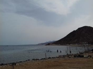 photo 1623417